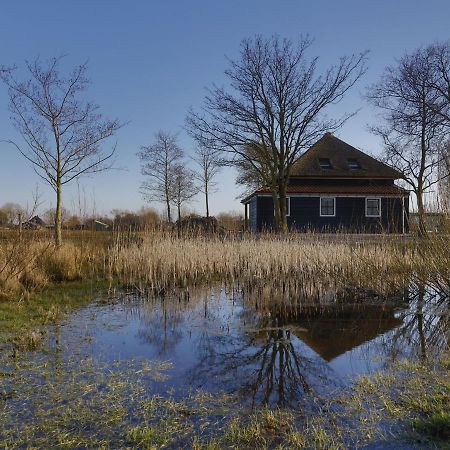 Nice Villa In Wieringer Style Near The Wadden Sea Hippolytushoef Eksteriør billede