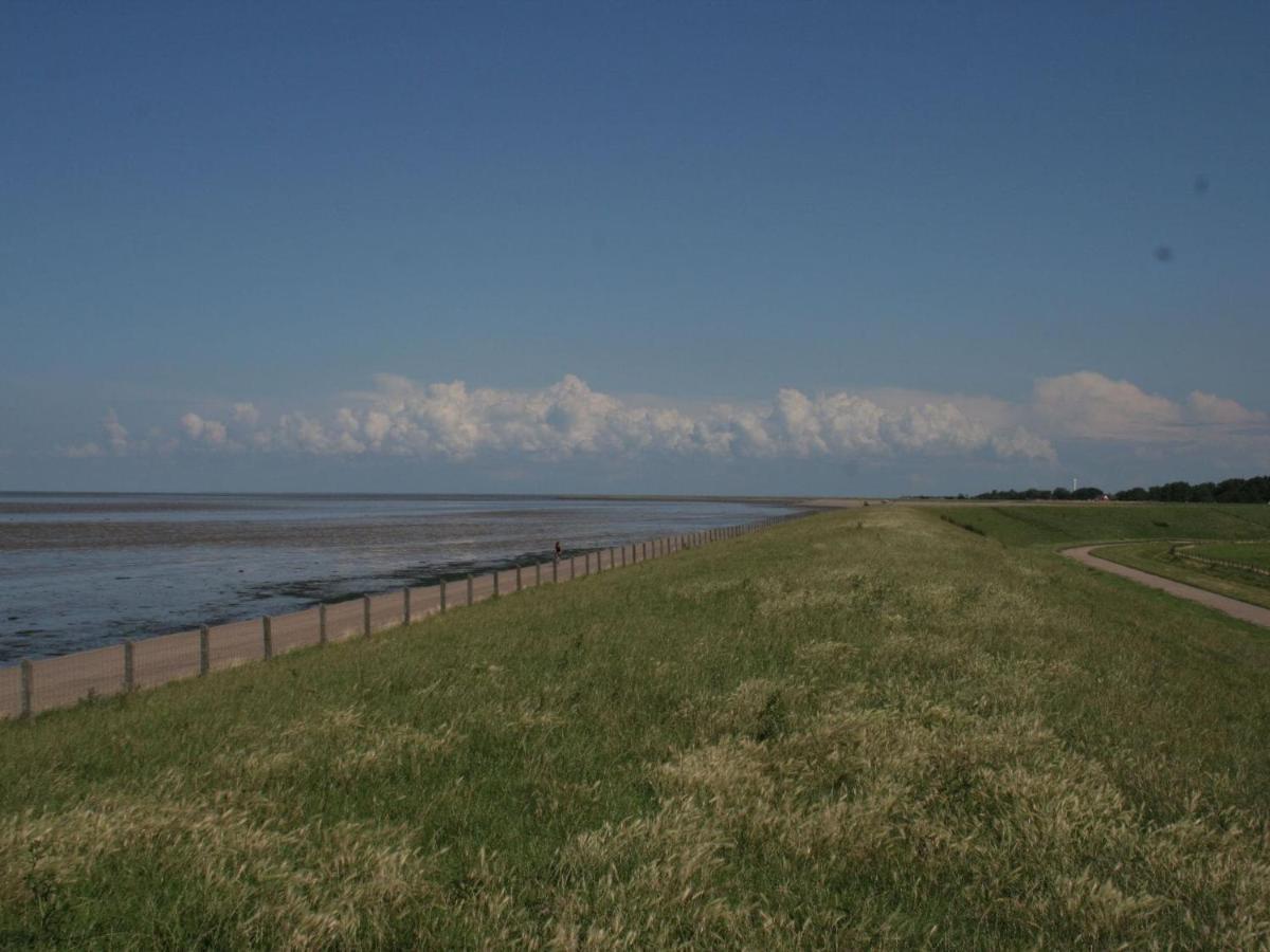 Nice Villa In Wieringer Style Near The Wadden Sea Hippolytushoef Eksteriør billede